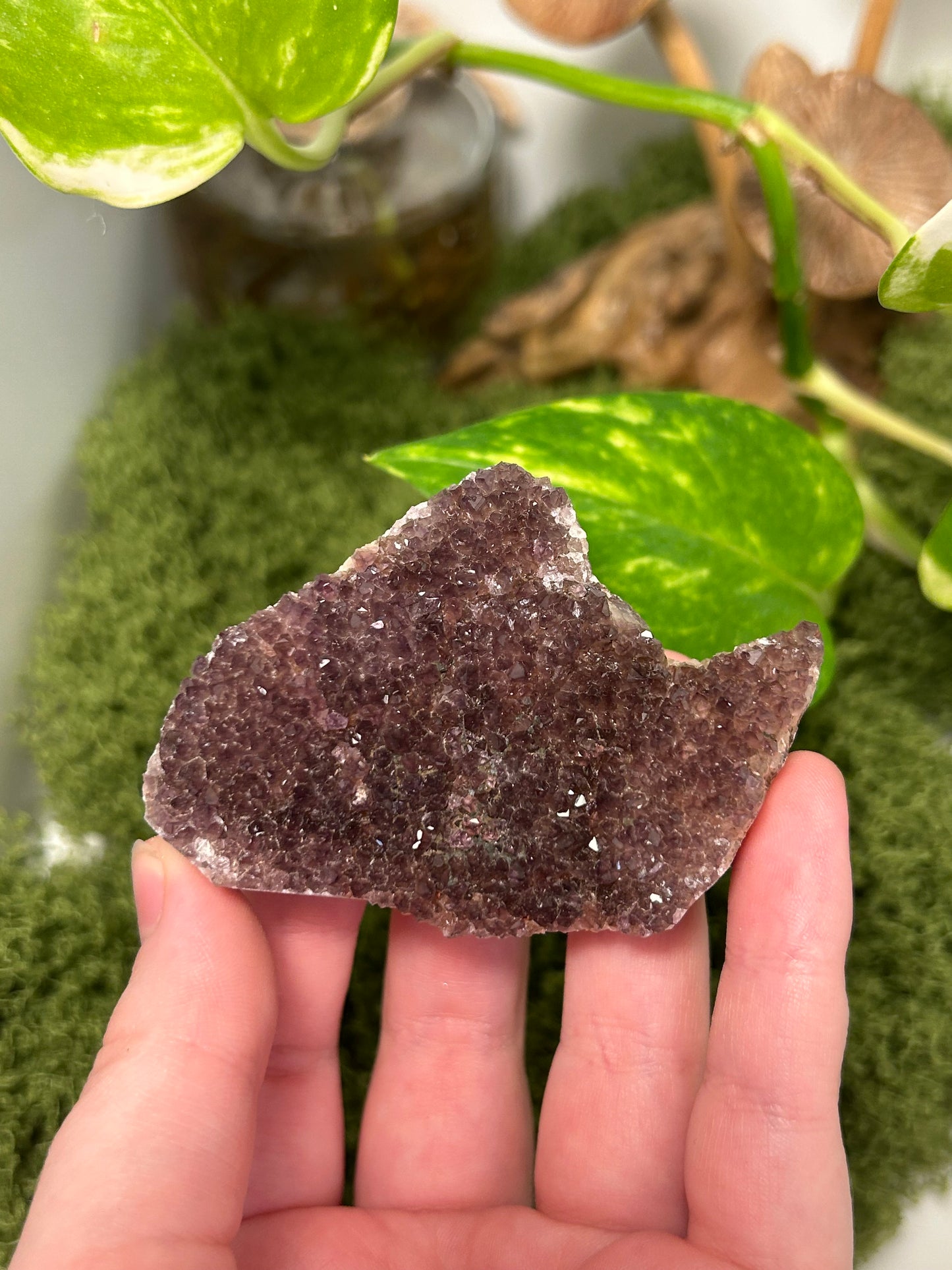 Alacam Amethyst Cluster 8 (B grade)