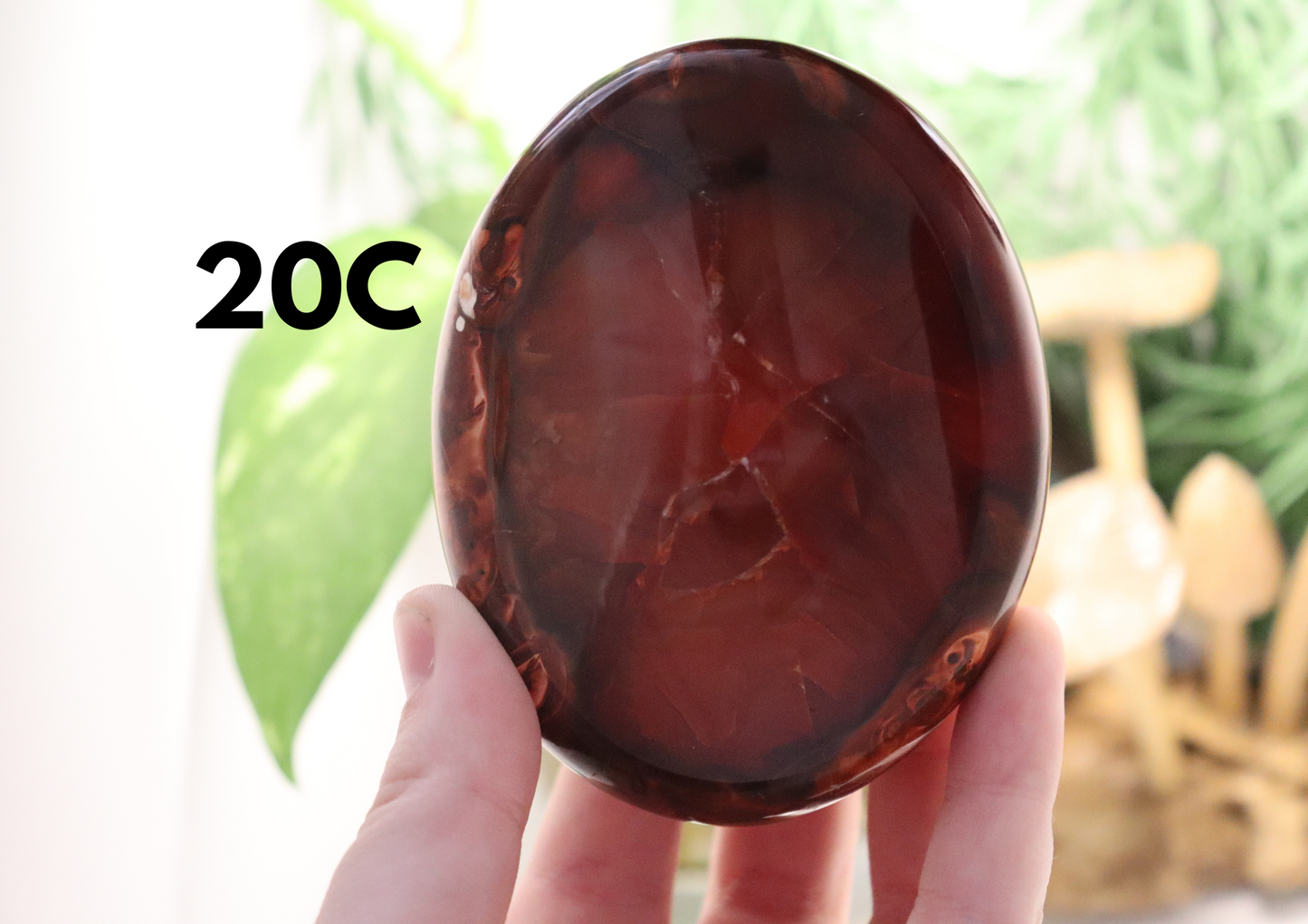 Carnelian Bowls