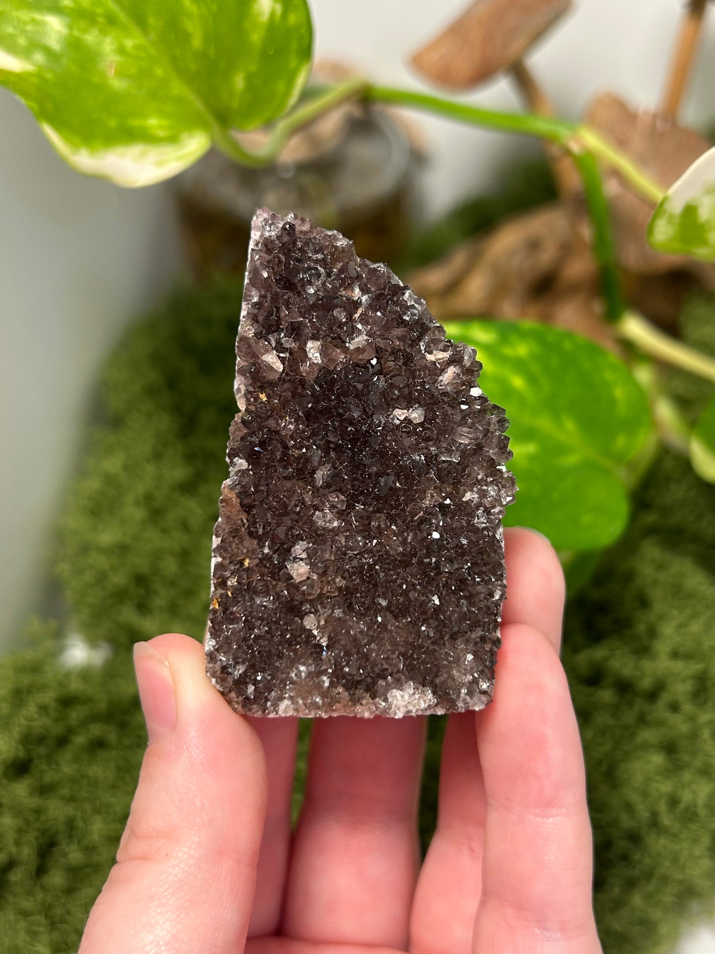 Alacam Amethyst Cluster 11 (B grade)