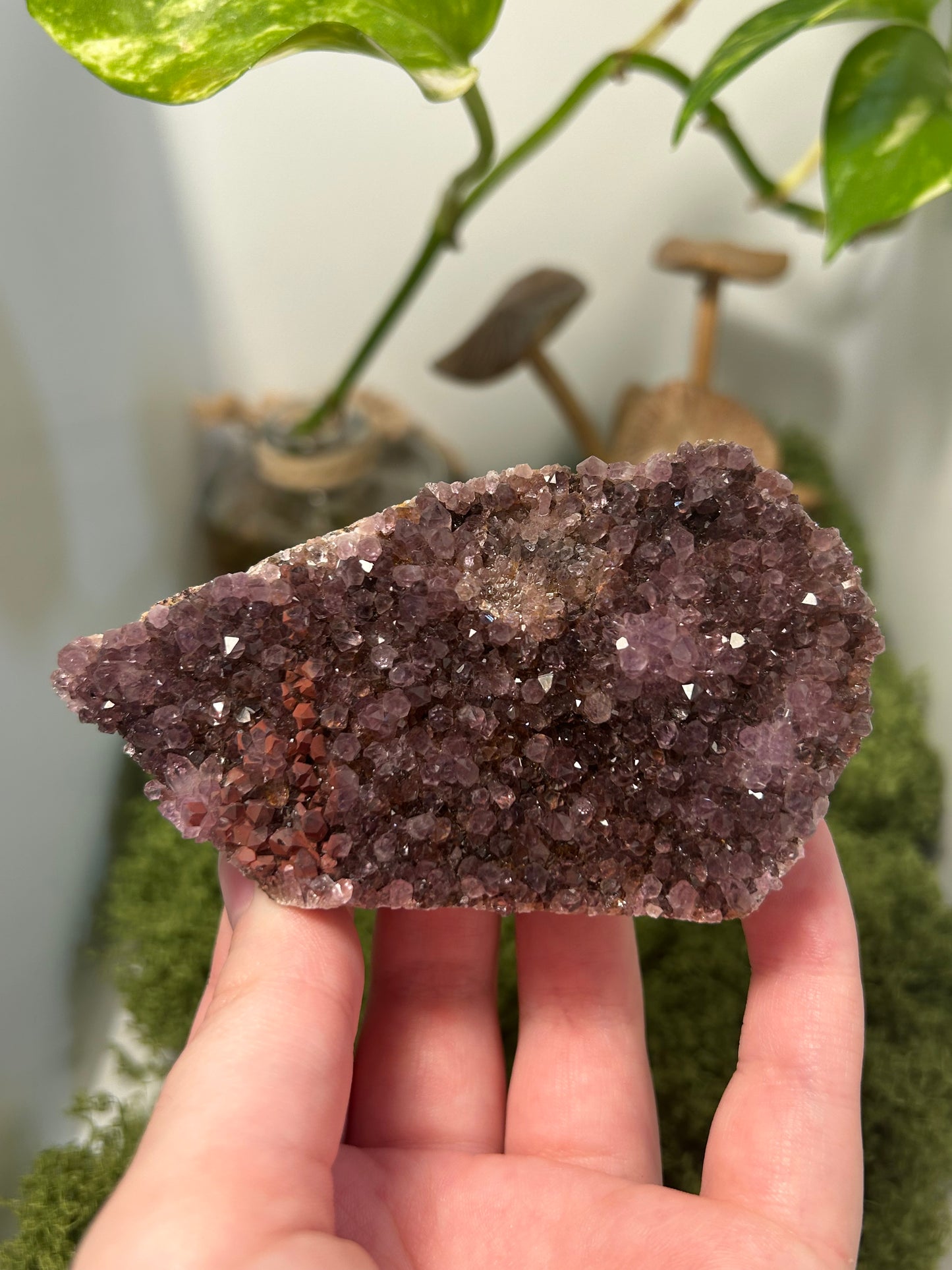 Alacam Amethyst Cluster 5 (C grade)