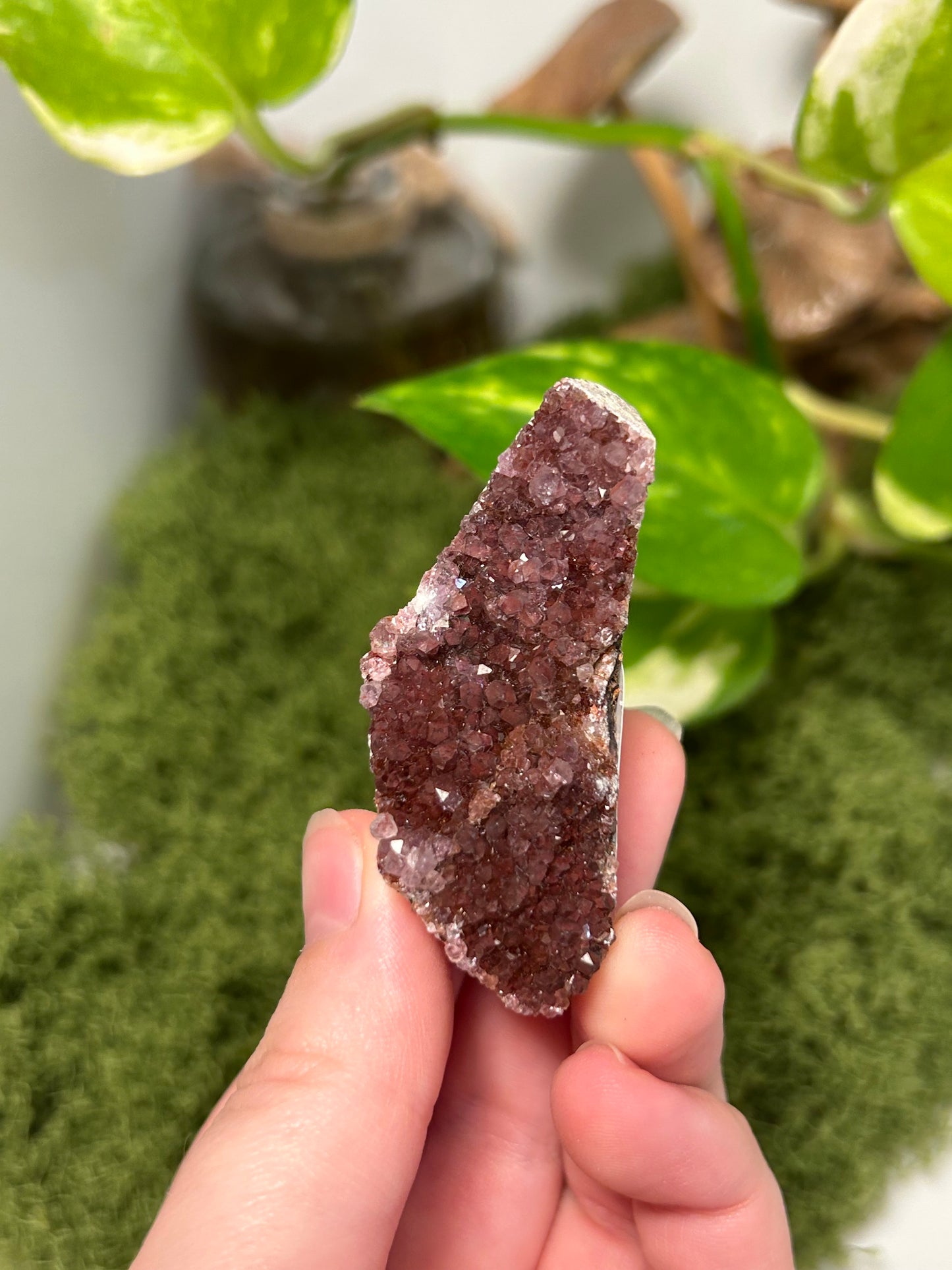 Alacam Amethyst Cluster 23 (C grade)