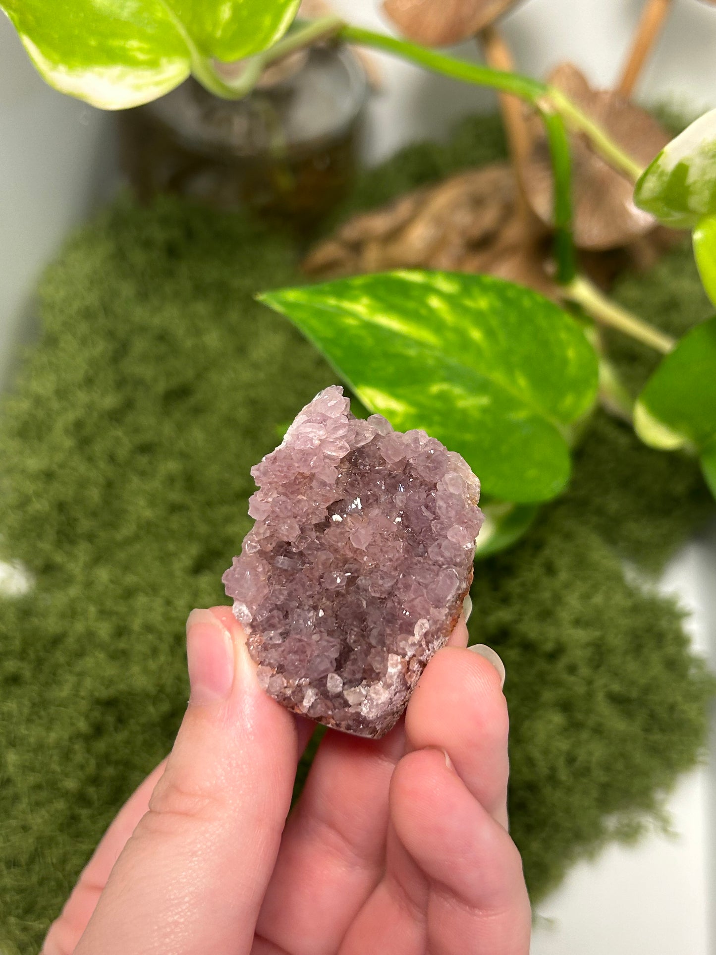 Alacam Amethyst Cluster 25 (C grade)