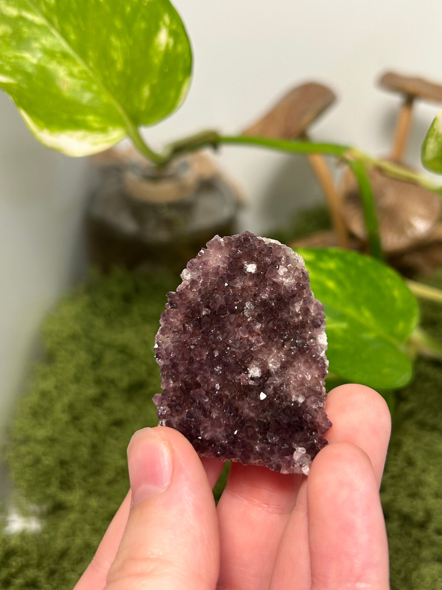 Alacam Amethyst Cluster 24 (C grade)