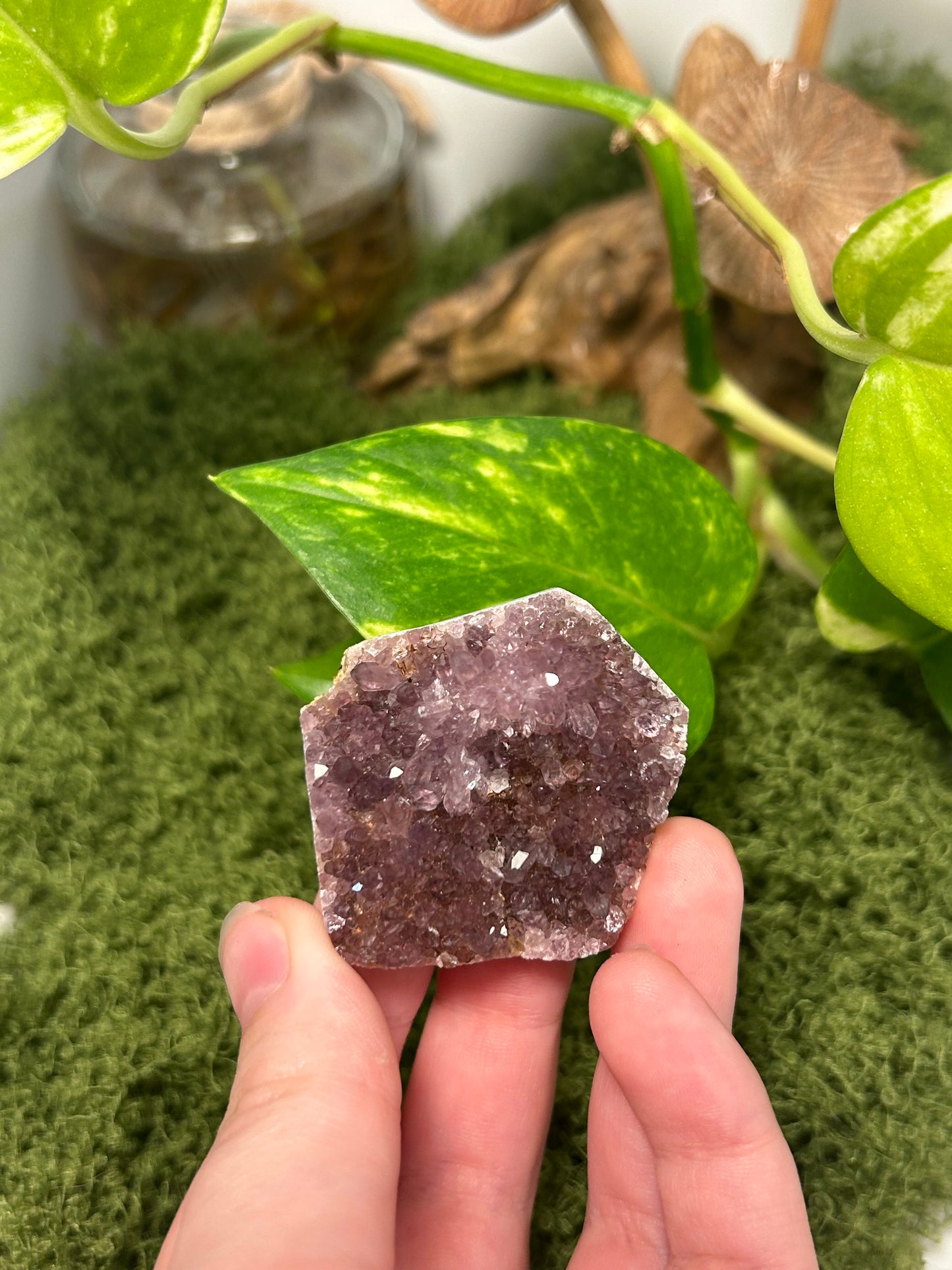 Alacam Amethyst Cluster 19 (B grade)