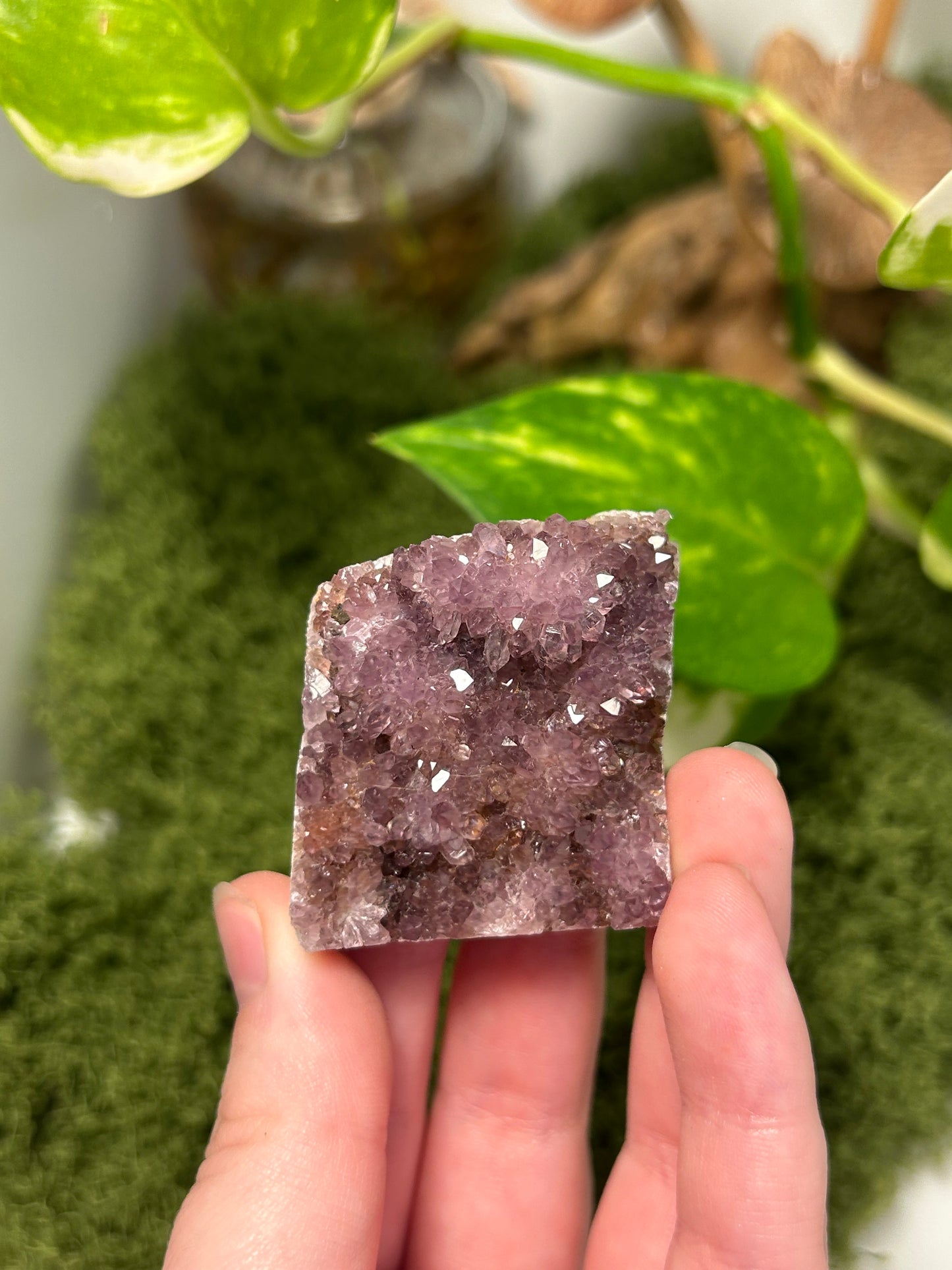 Alacam Amethyst Cluster 12 (B grade)