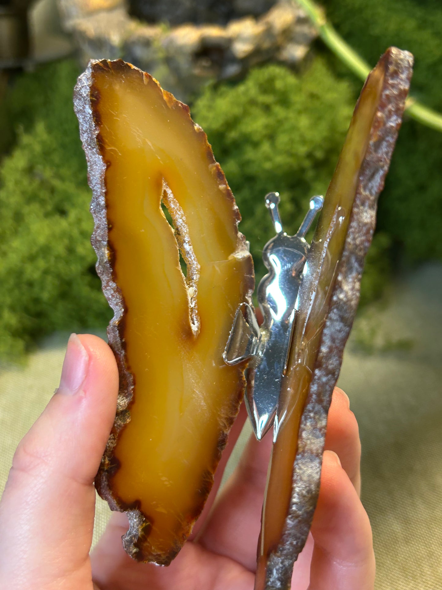 Agate Slice Butterfly #3