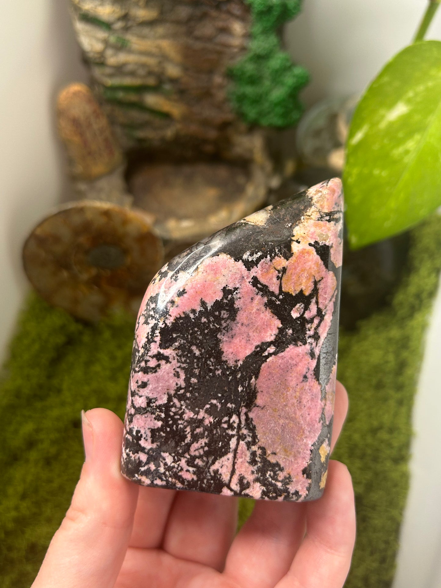 Rhodonite Freeform 3