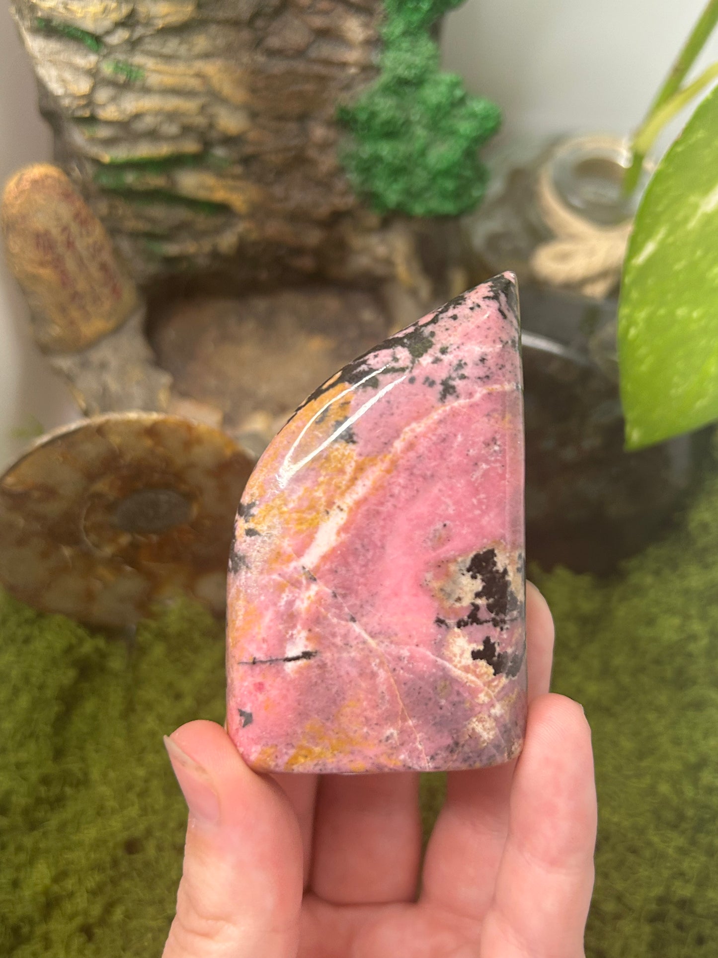 Rhodonite Freeform 8