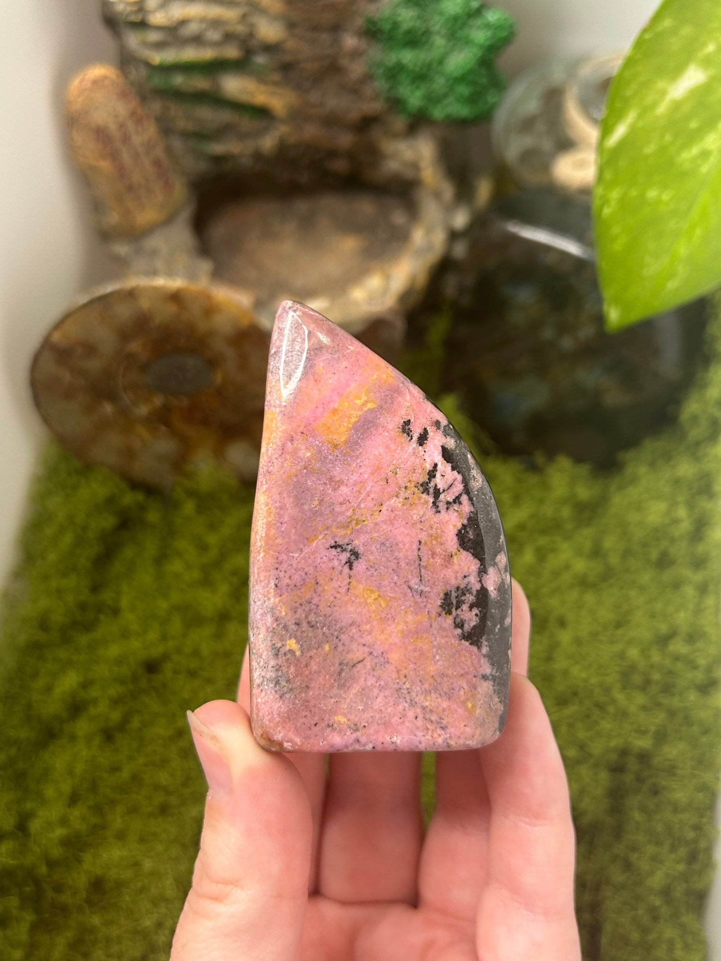 Rhodonite Freeform 9