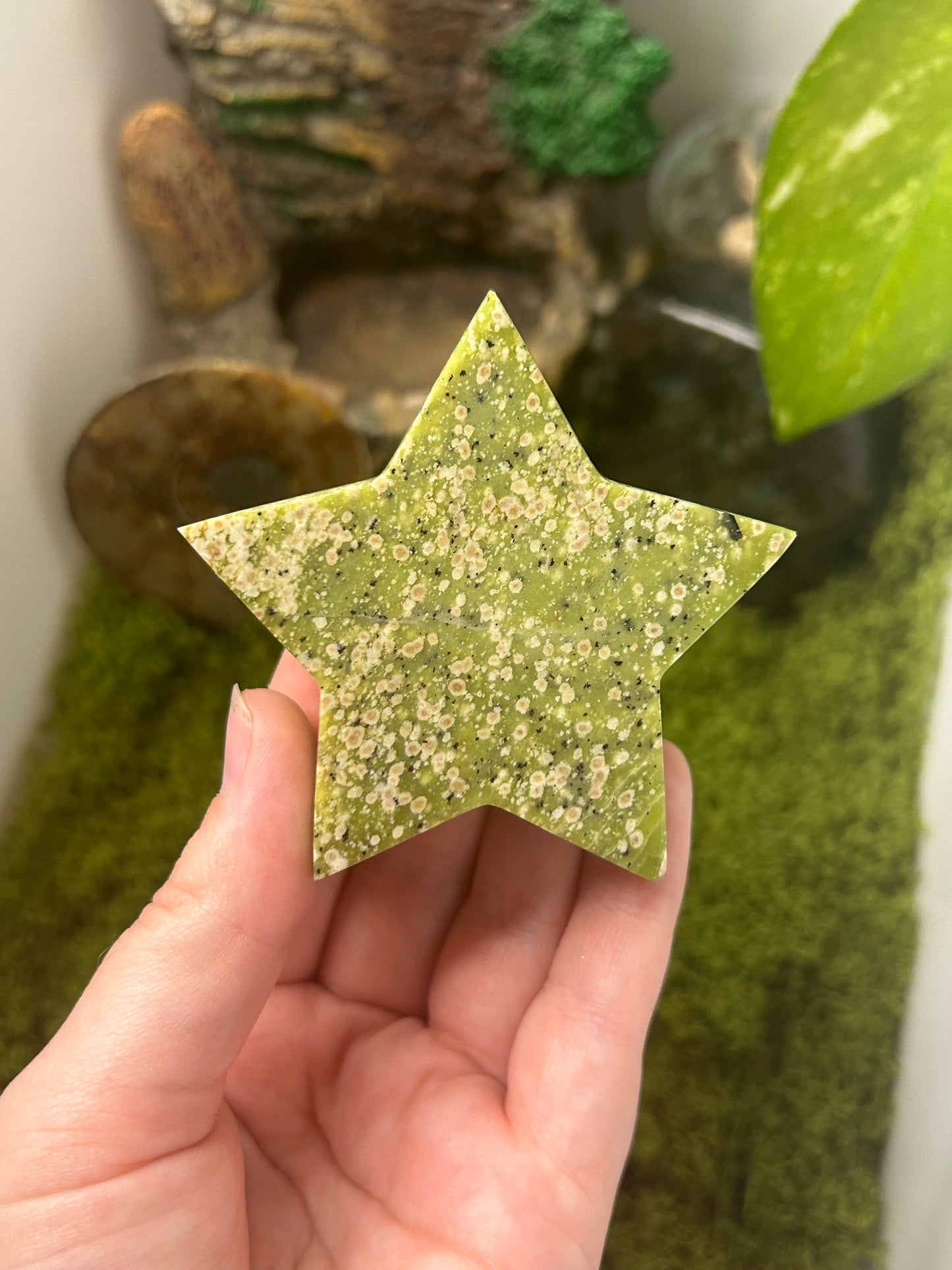 Serpentine Stars