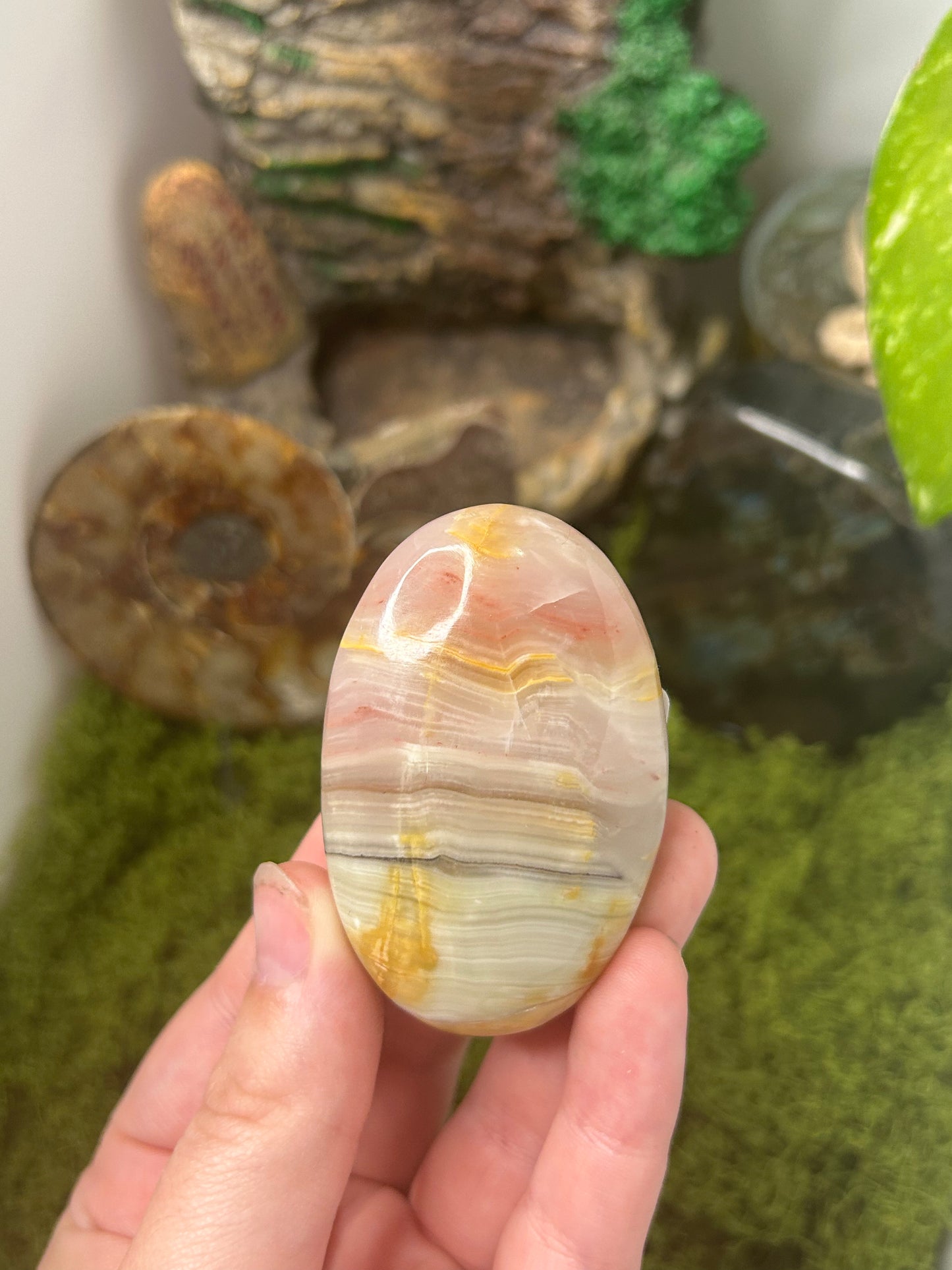 Pink Banded Calcite Palm 4