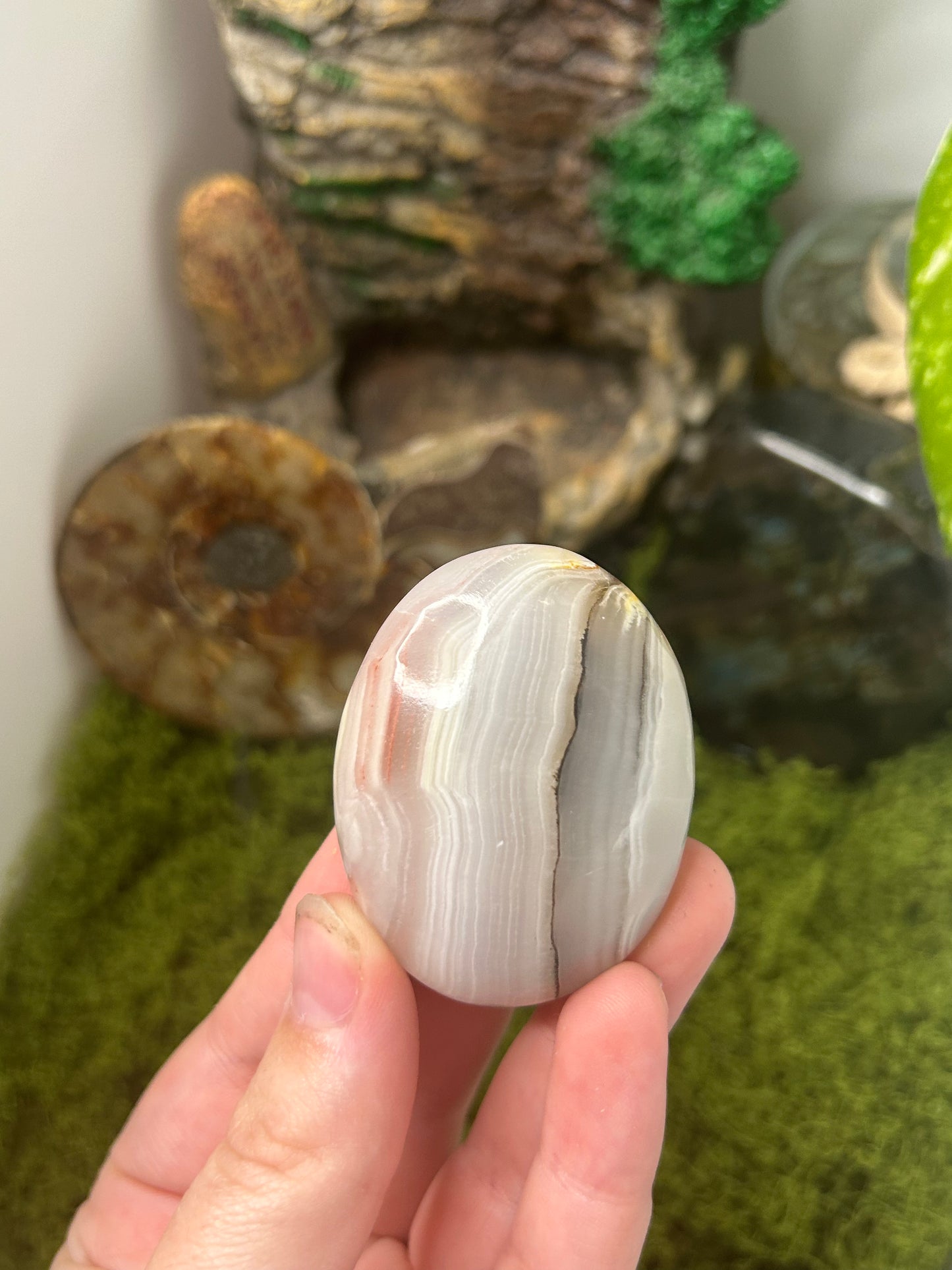 Pink Banded Calcite Palm 5