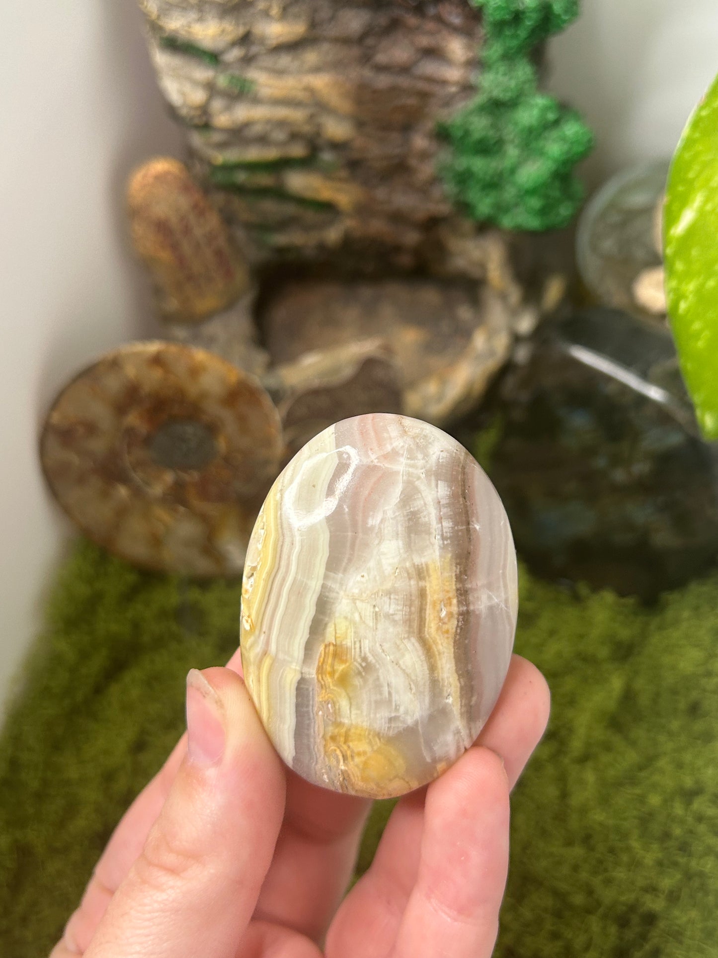 Pink Banded Calcite Palm 6