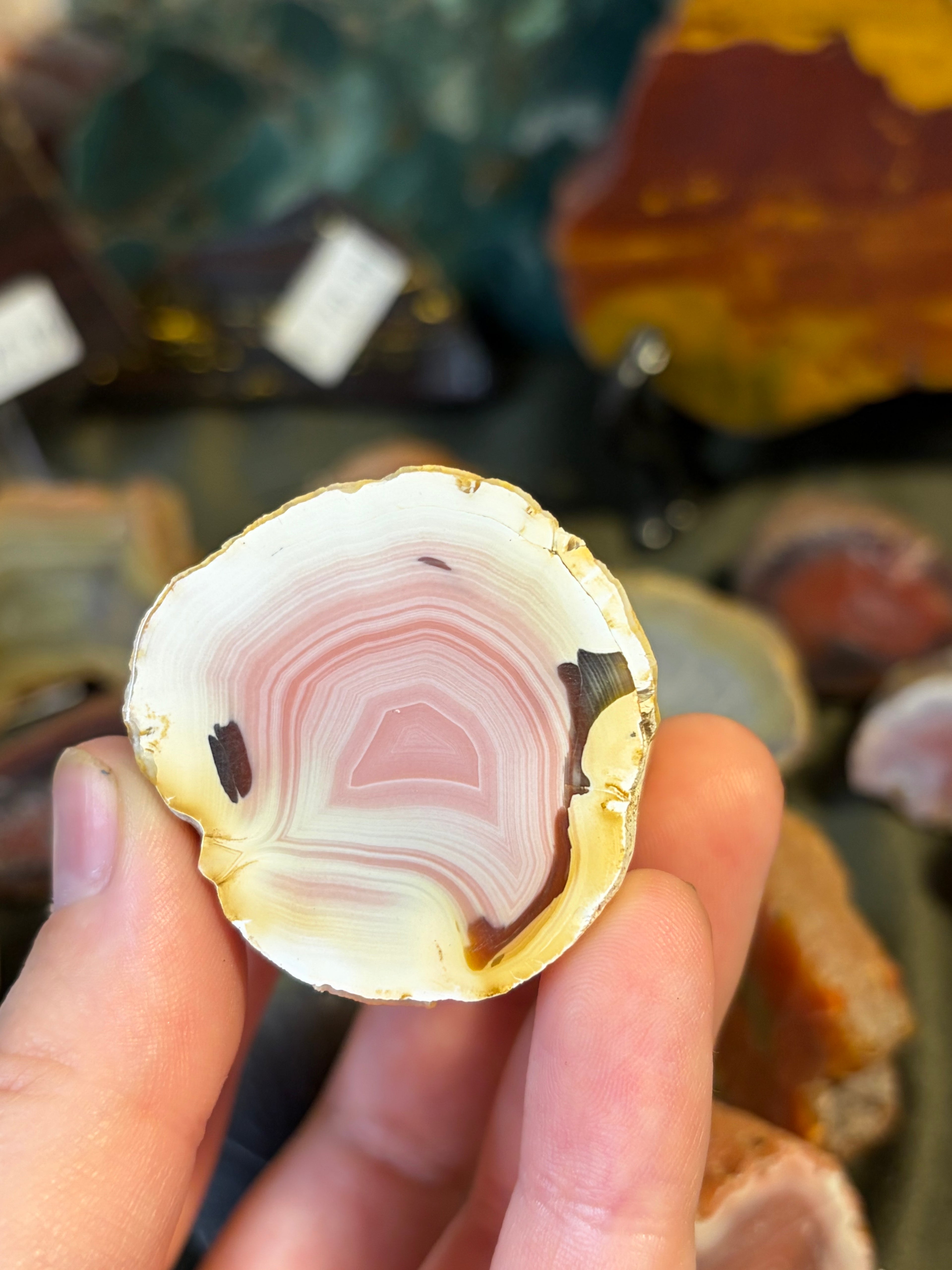 Unpolished Agate Creek Geode Half 5