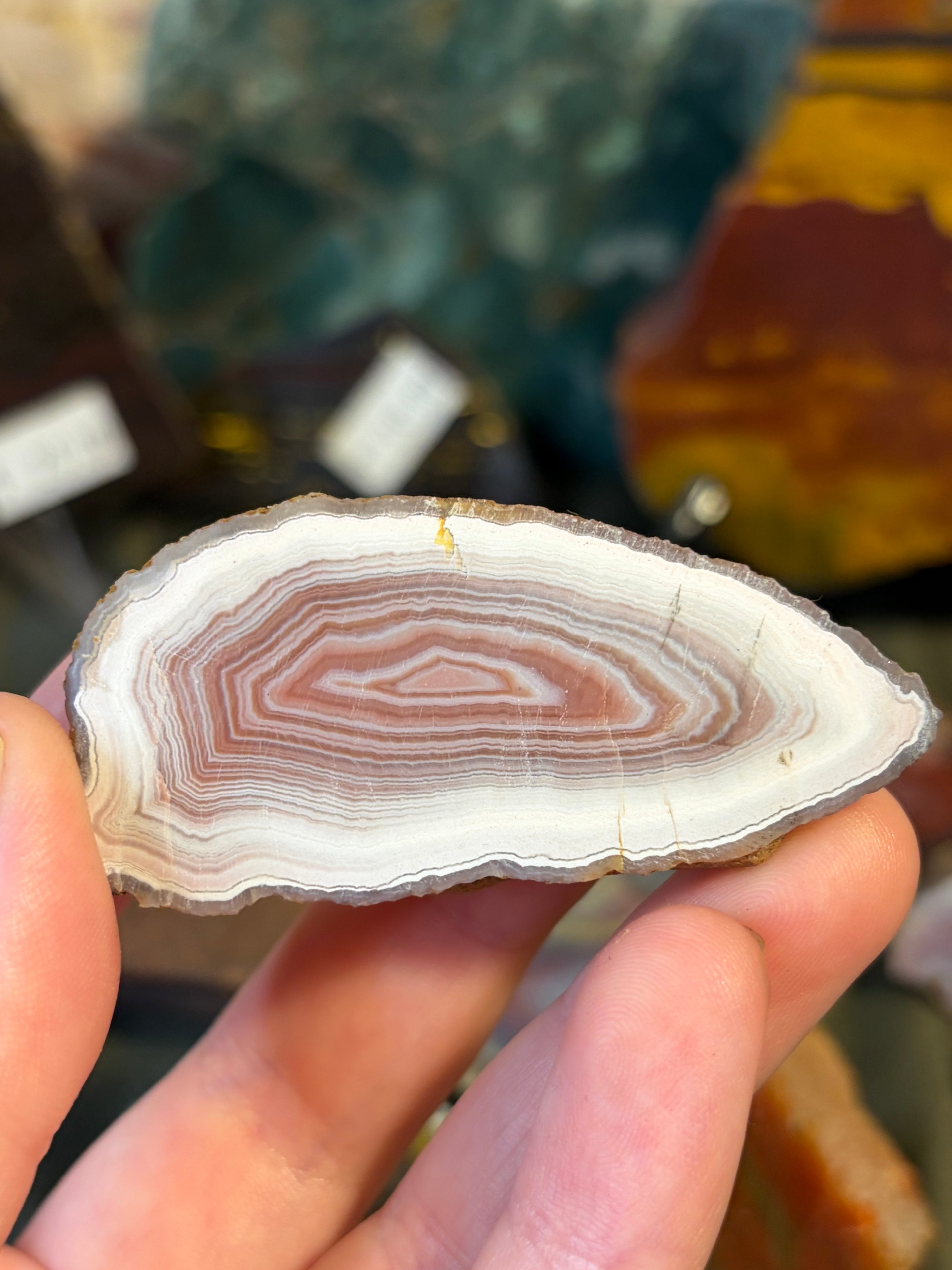 Unpolished Agate Creek Geode Half 3