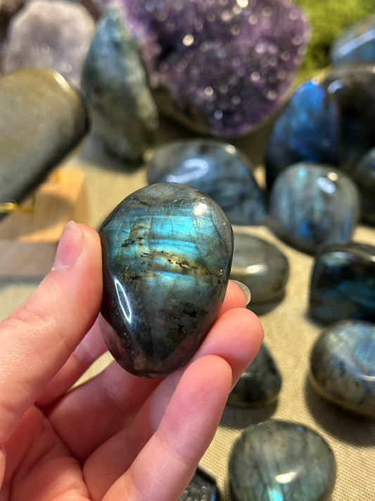 Labradorite Palm 12a