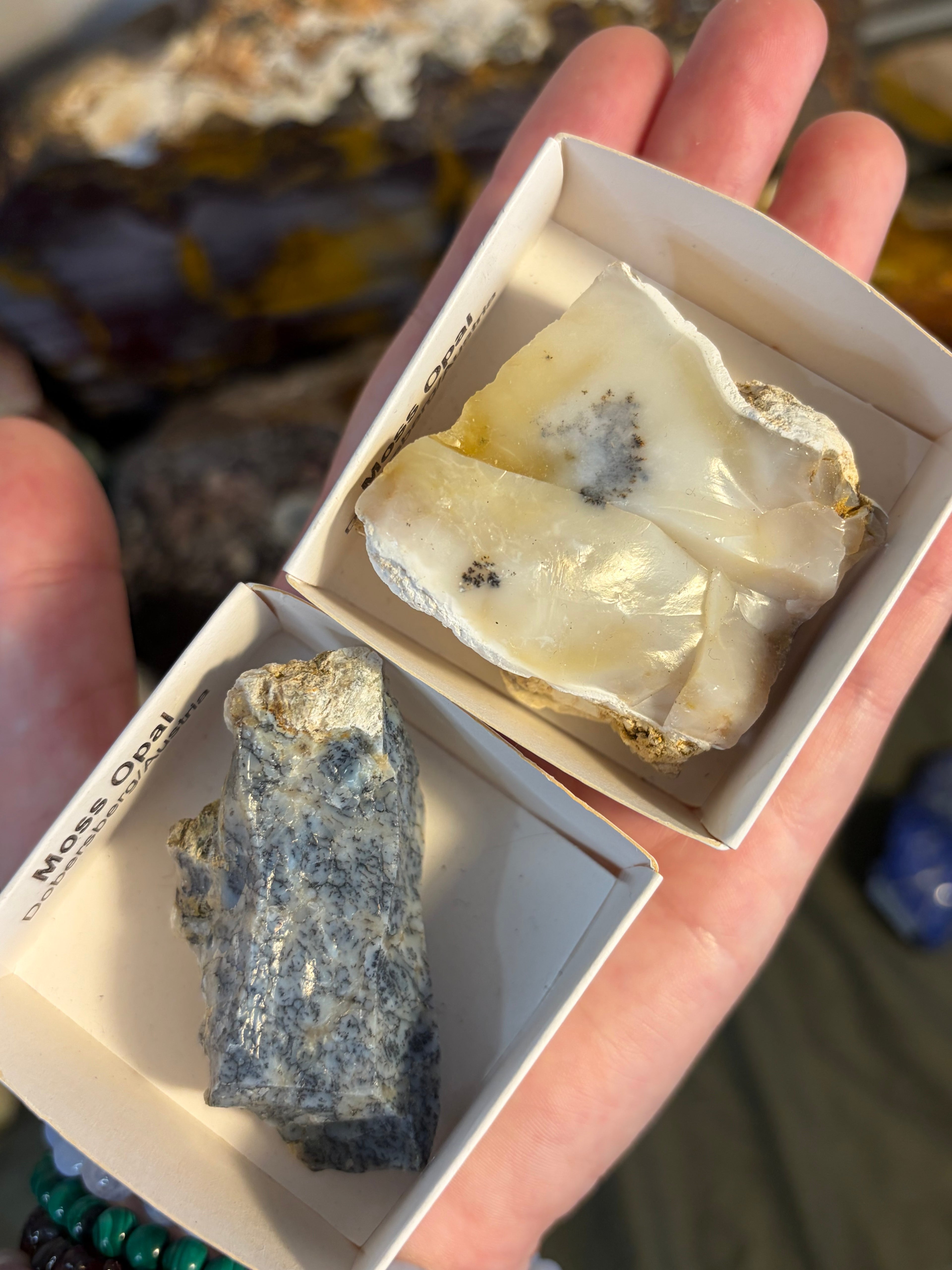 Mossy Opal Specimens