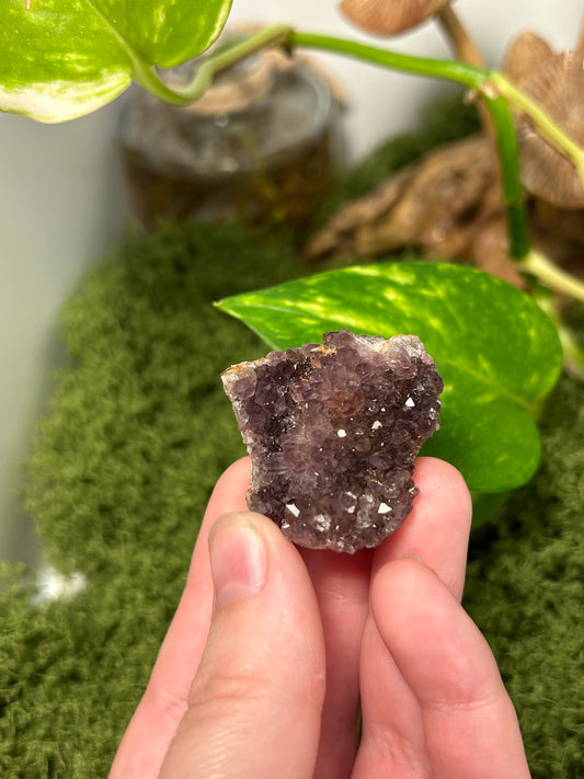 Alacam Amethyst Cluster 29 (B grade)