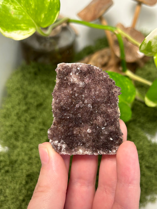 Alacam Amethyst Cluster 14 (C grade)