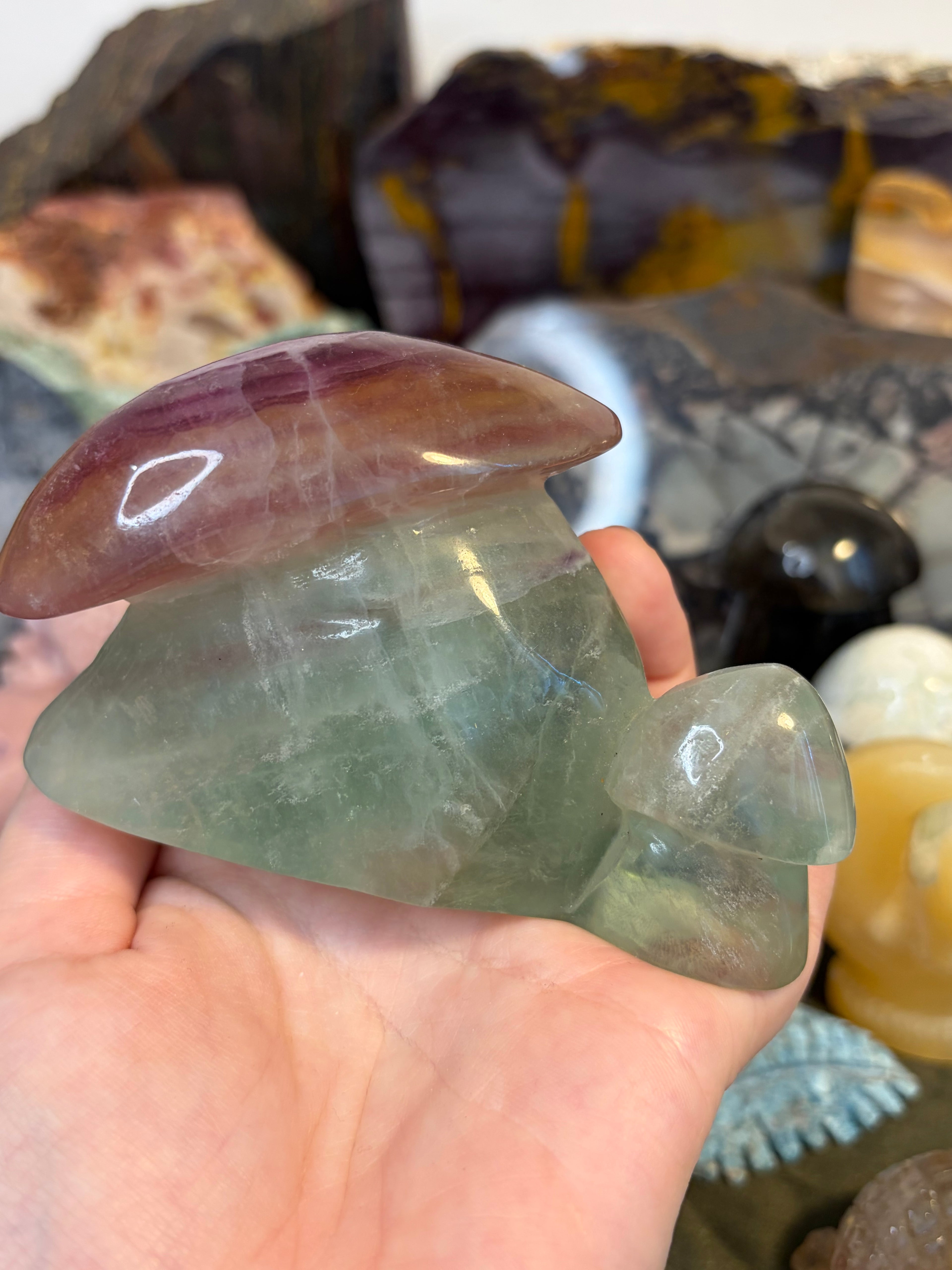 Fluorite Mushroom