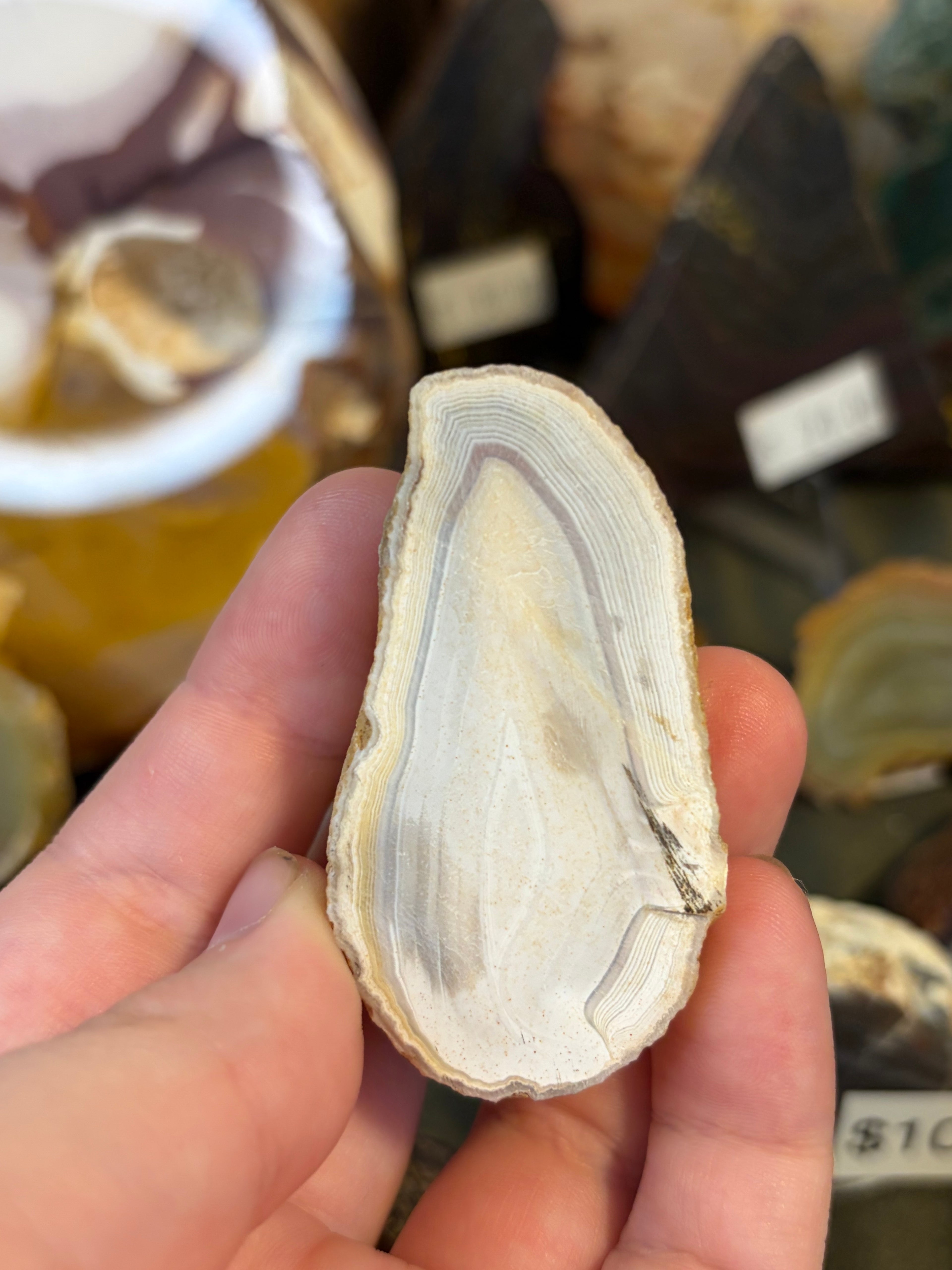 Unpolished Agate Creek Geode 9