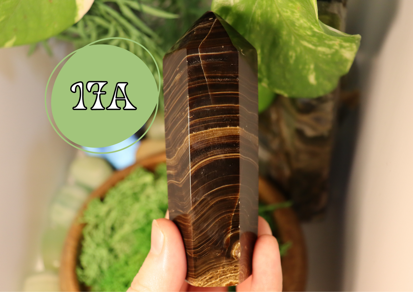 Chocolate Calcite Tower 17A