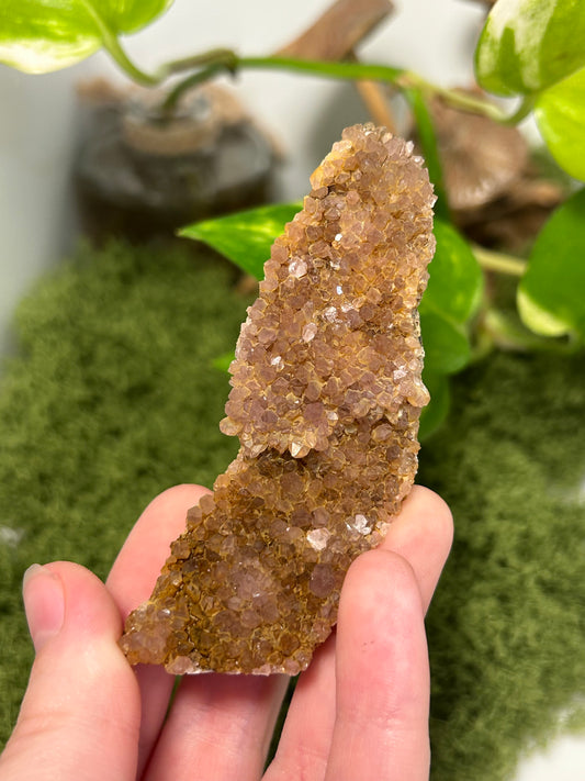 Alacam Amethyst Cluster 12 (C grade)