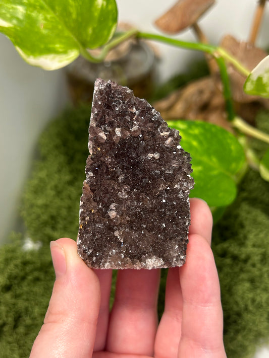 Alacam Amethyst Cluster 11 (B grade)