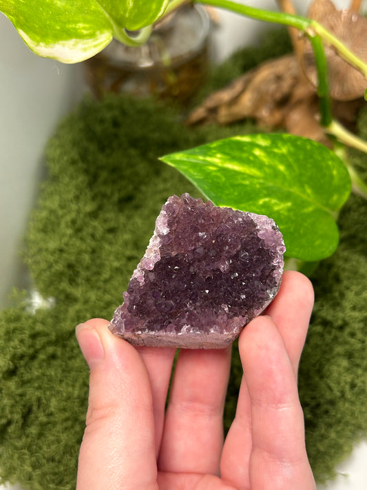 Alacam Amethyst Cluster 14 (B grade)