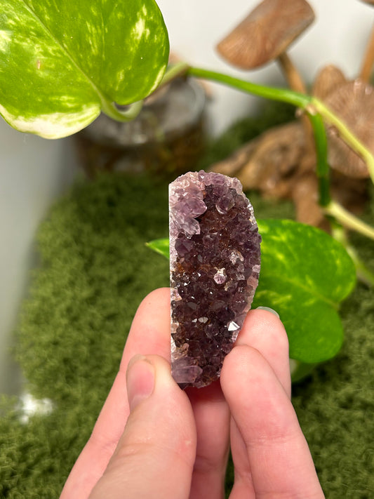 Alacam Amethyst Cluster 23 (B grade)