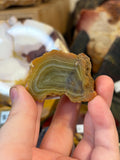 Unpolished Agate Creek Geode 12