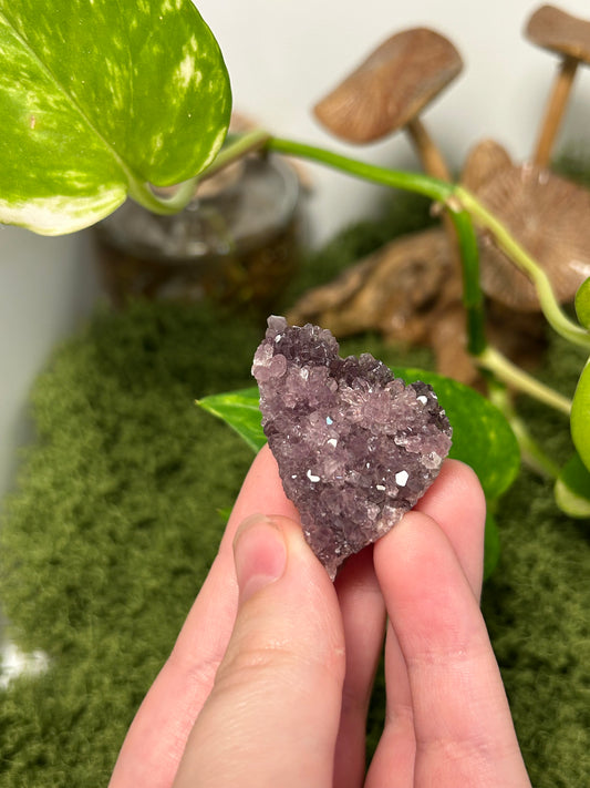 Alacam Amethyst Cluster 28 (B grade)