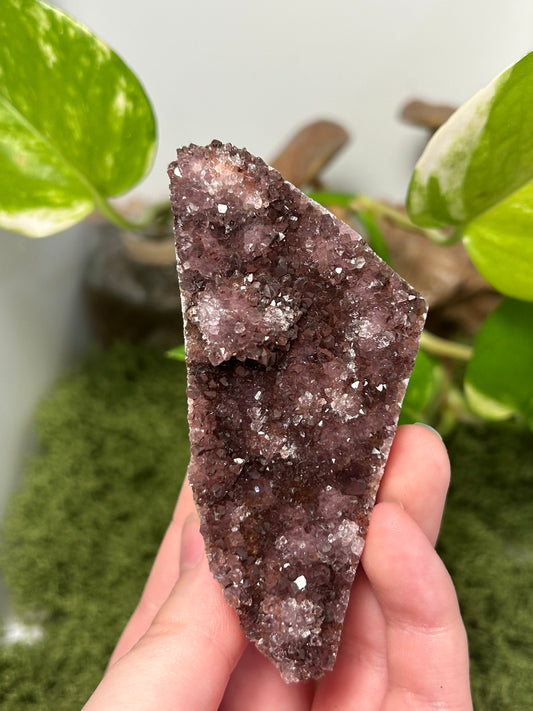 Alacam Amethyst Cluster 7 (C grade)