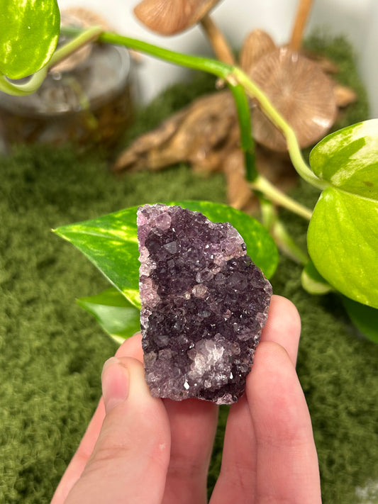 Alacam Amethyst Cluster 20 (B grade)