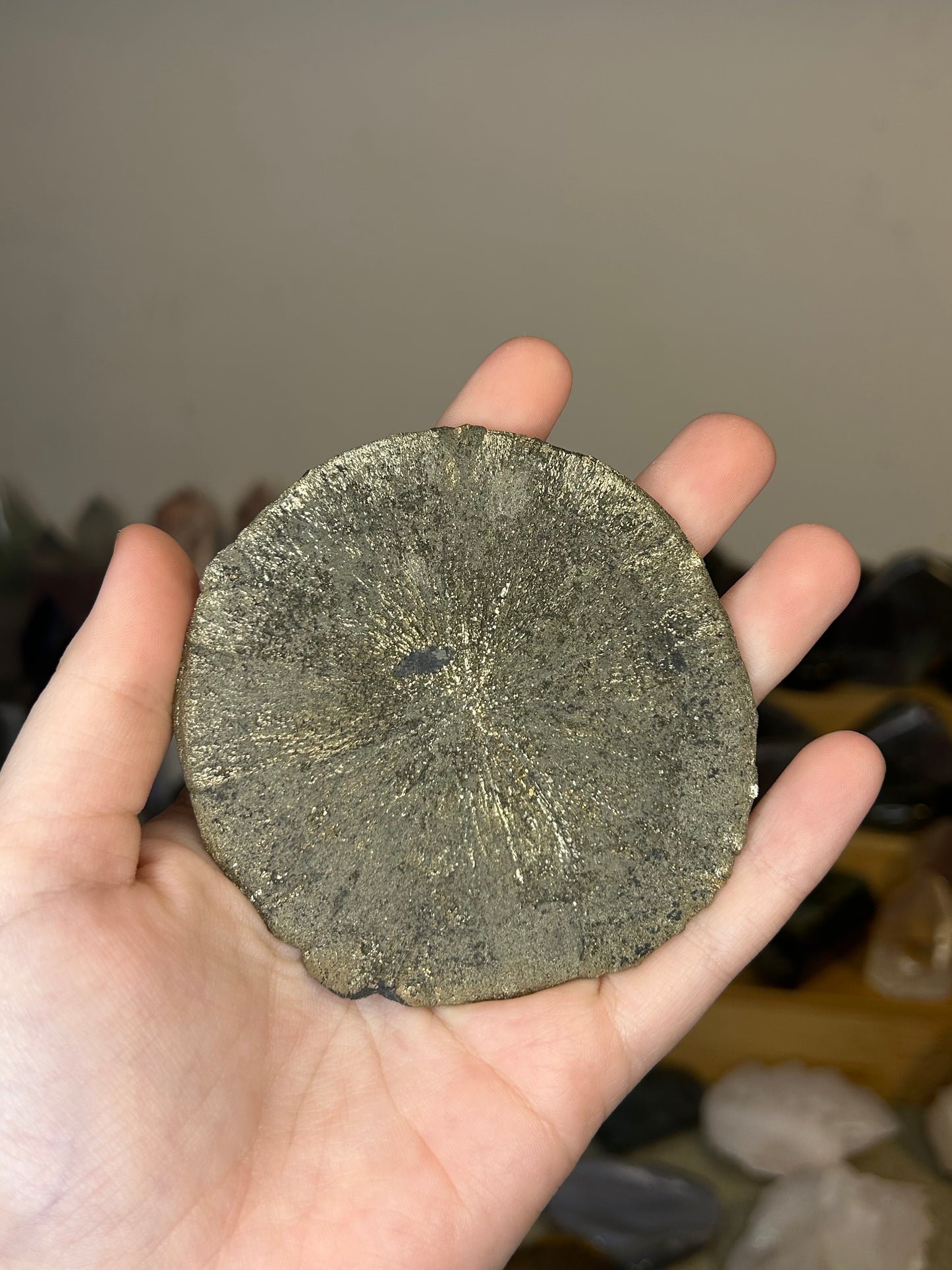 Large Pyrite Sun