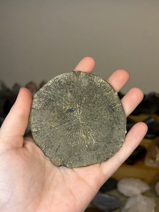 Large Pyrite Sun