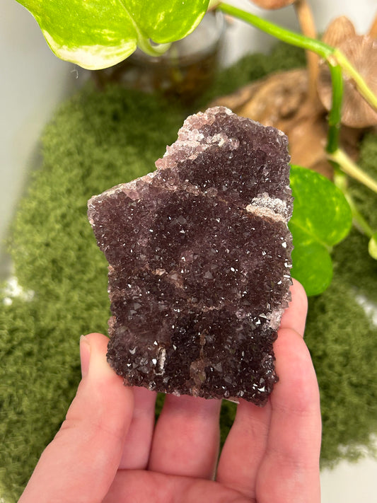 Alacam Amethyst Cluster 4 (B grade)