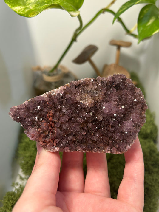 Alacam Amethyst Cluster 5 (C grade)