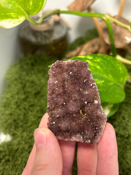 Alacam Amethyst Cluster 16 (C grade)