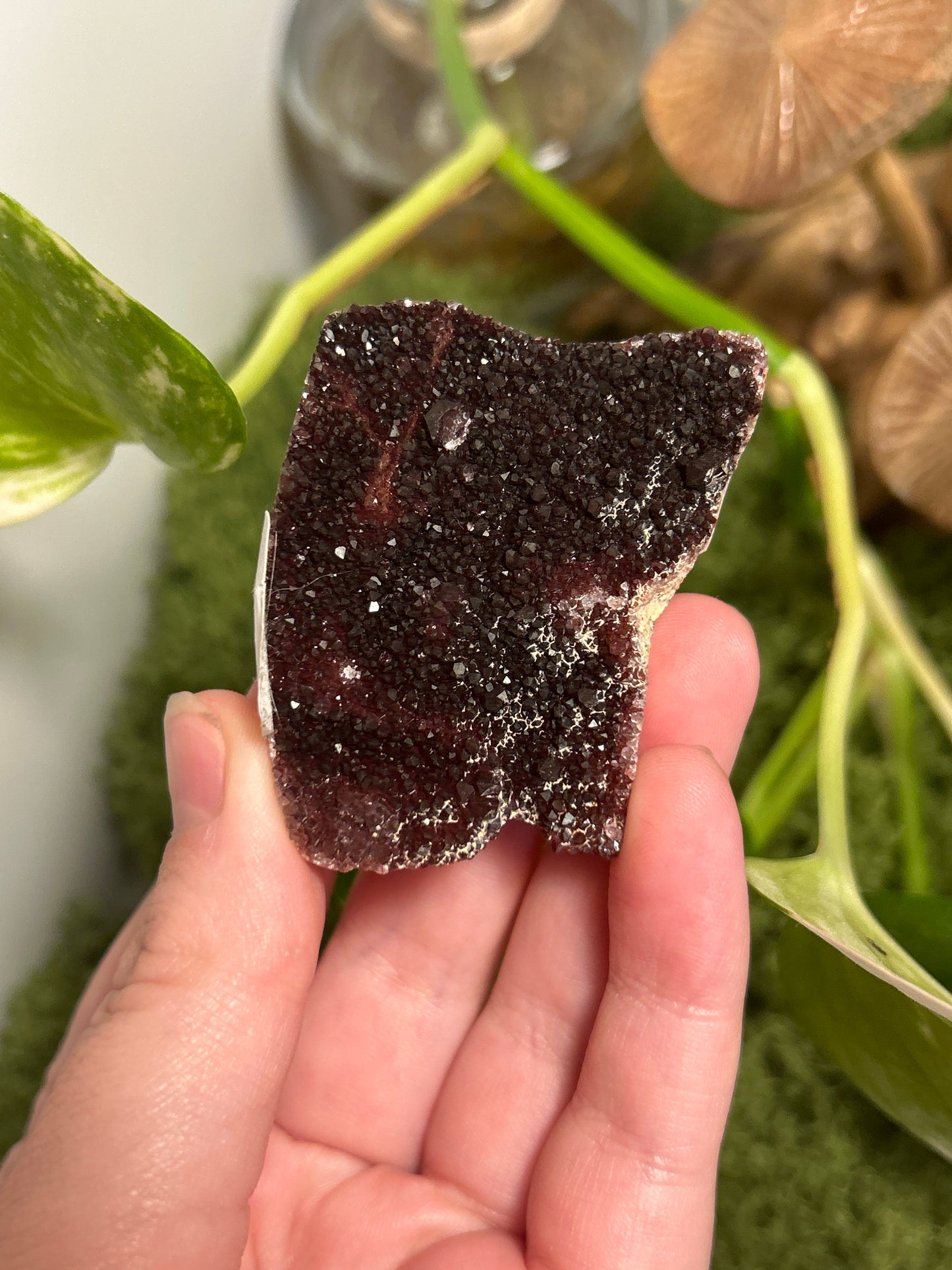 Alacam Amethyst Cluster 27 (B grade)