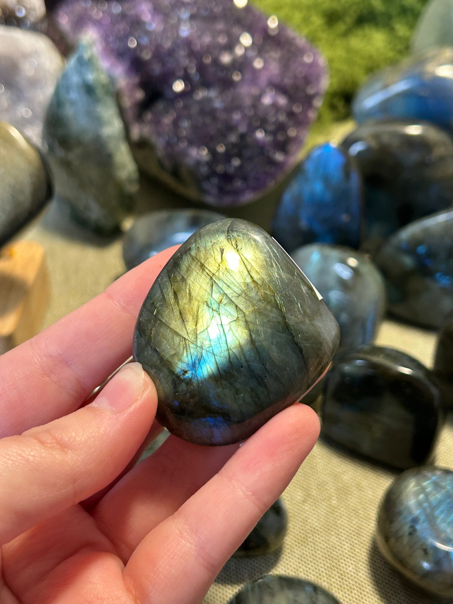 Labradorite Palm 12c