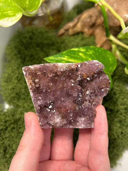 Alacam Amethyst Cluster 6 (B grade)