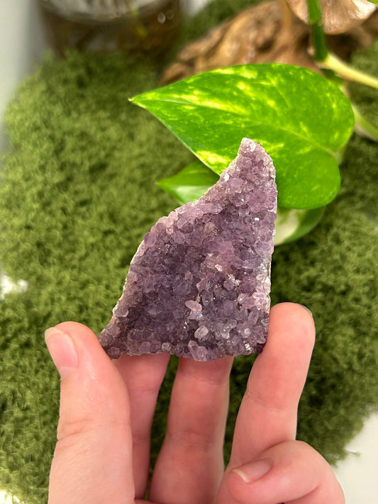 Alacam Amethyst Cluster 15 (C grade)