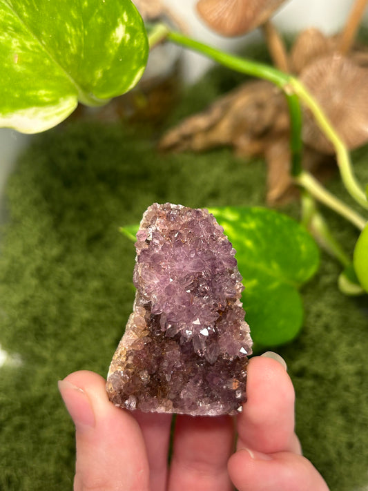 Alacam Amethyst Cluster 17 (B grade)