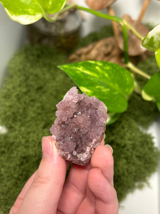 Alacam Amethyst Cluster 25 (C grade)