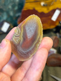 Unpolished Agate Creek Geode Half 4