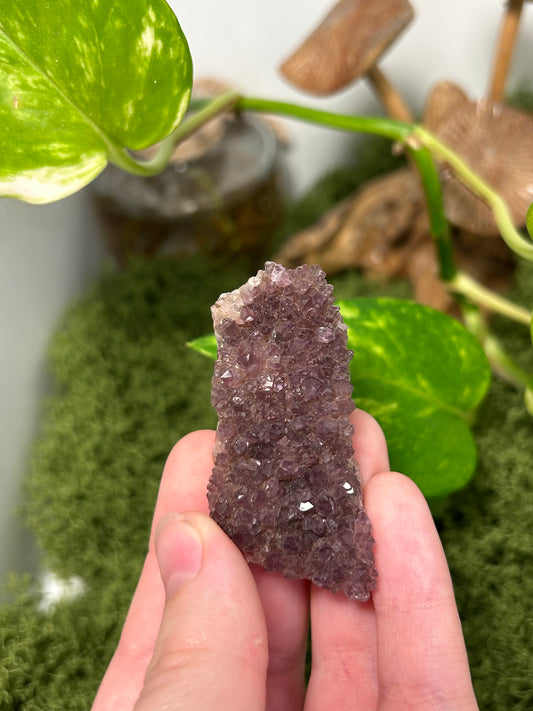 Alacam Amethyst Cluster 22 (B grade)