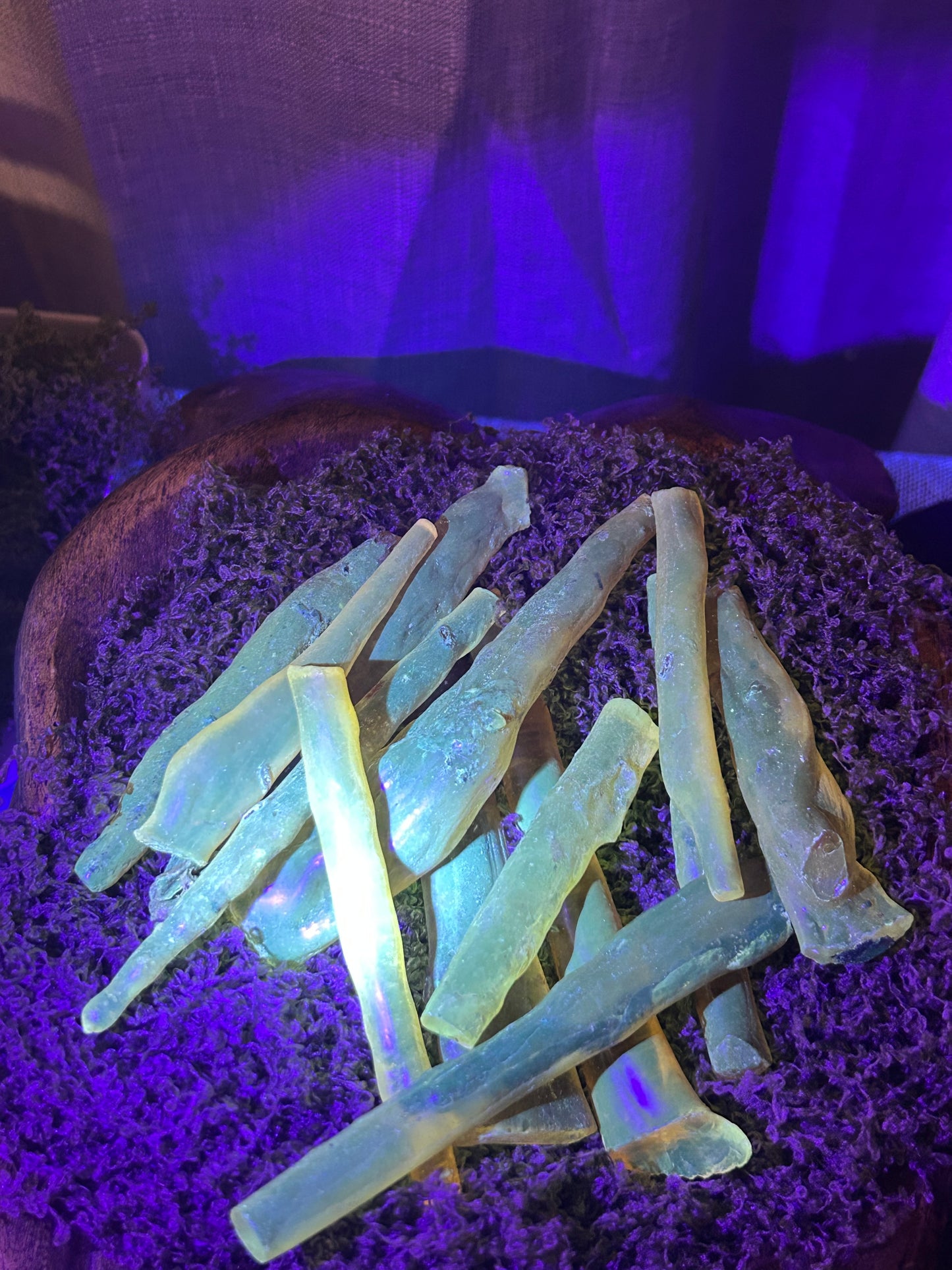 Copal (Bug & plant filled, Intuitively Chosen)