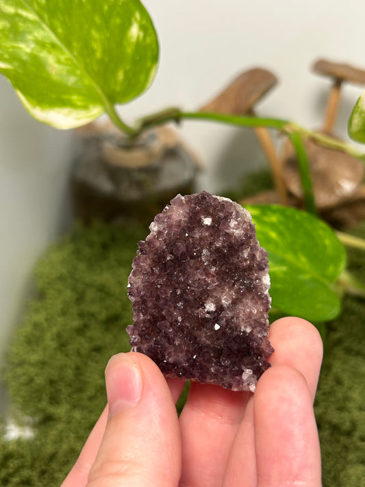 Alacam Amethyst Cluster 24 (C grade)
