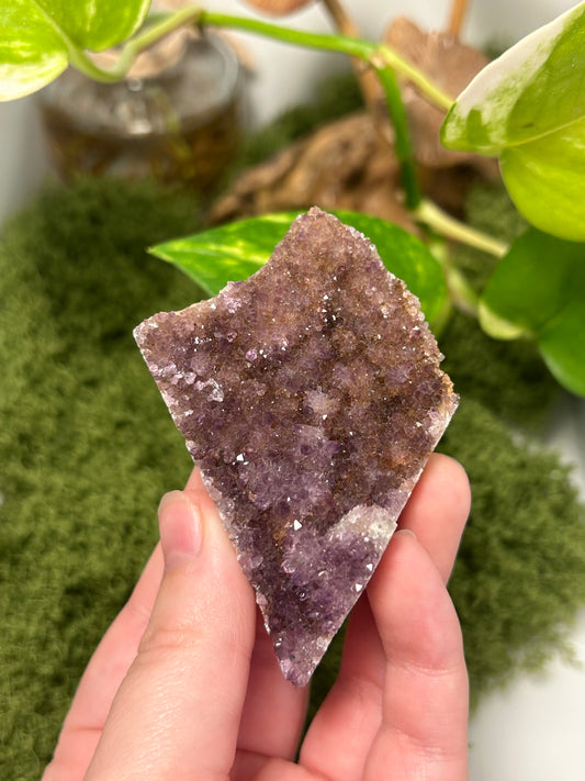 Alacam Amethyst Cluster 10 (B grade)